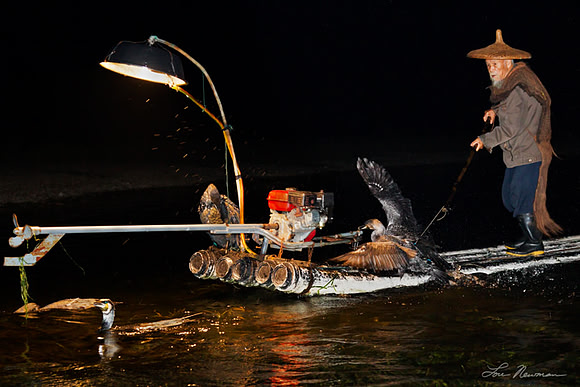 "Cormorant Fishing" China
