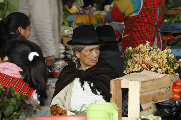 "Market Day" Ecuador