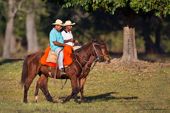 "Gauchos" Brazil