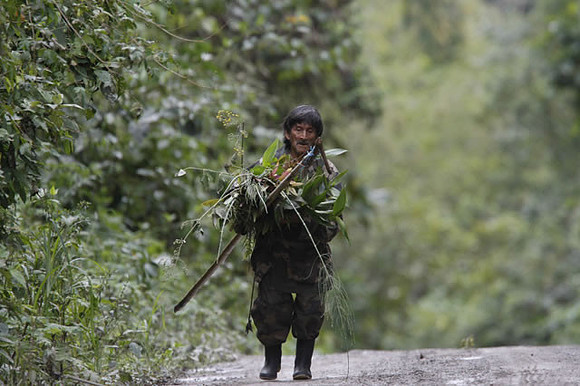 "The Collector" Ecuador