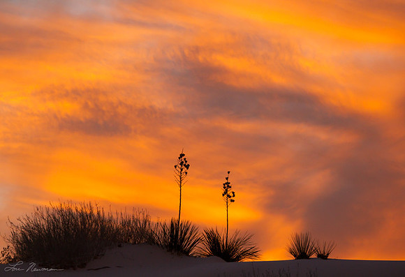 "Winter Sunset" White Sands National Monument, New Mexico